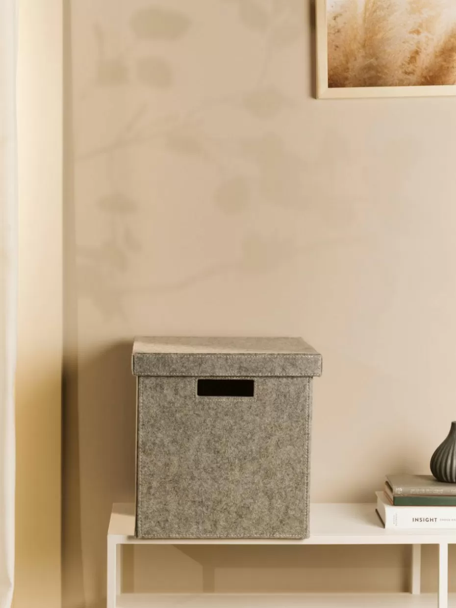 Boxen-Cinas Aufbewahrungsbox Lena