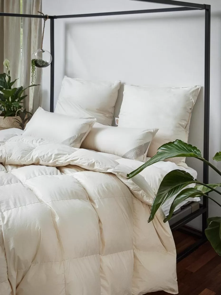 Bettdecken-Westwing Collection Bettdecke Premium aus Bio-Daunen und Bio-Baumwolle, Warm