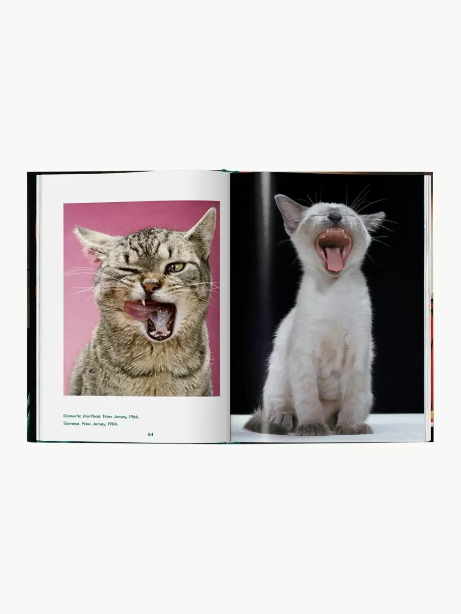 Coffee Table Books-TASCHEN Bildband Cats. Photographs 1942–2018
