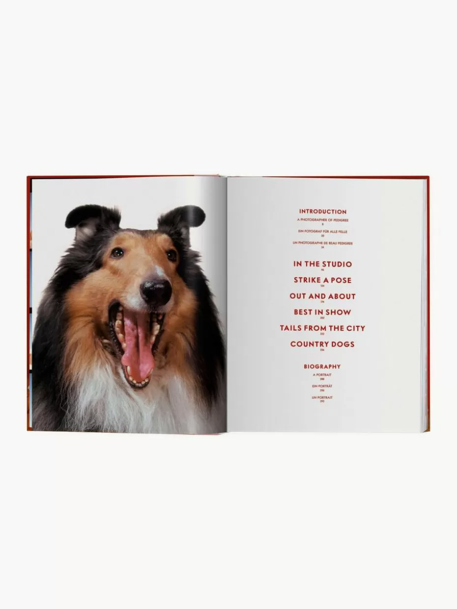 Coffee Table Books-TASCHEN Bildband Dogs. Photographs 1941–1991