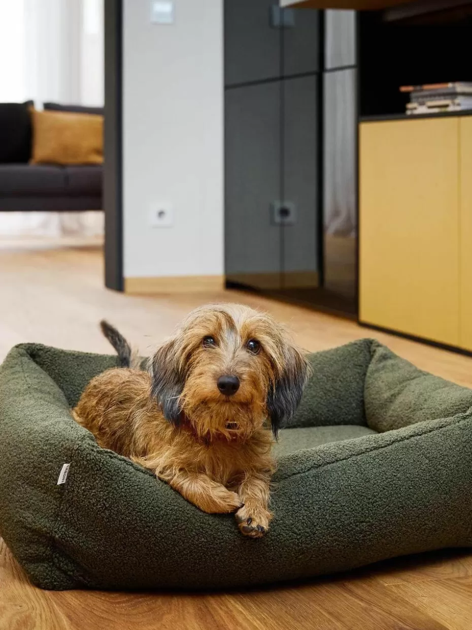 Haustierbedarf-Laboni Bouclé-Hundebett Teddy, in verschiedenen Größen Olivgrün