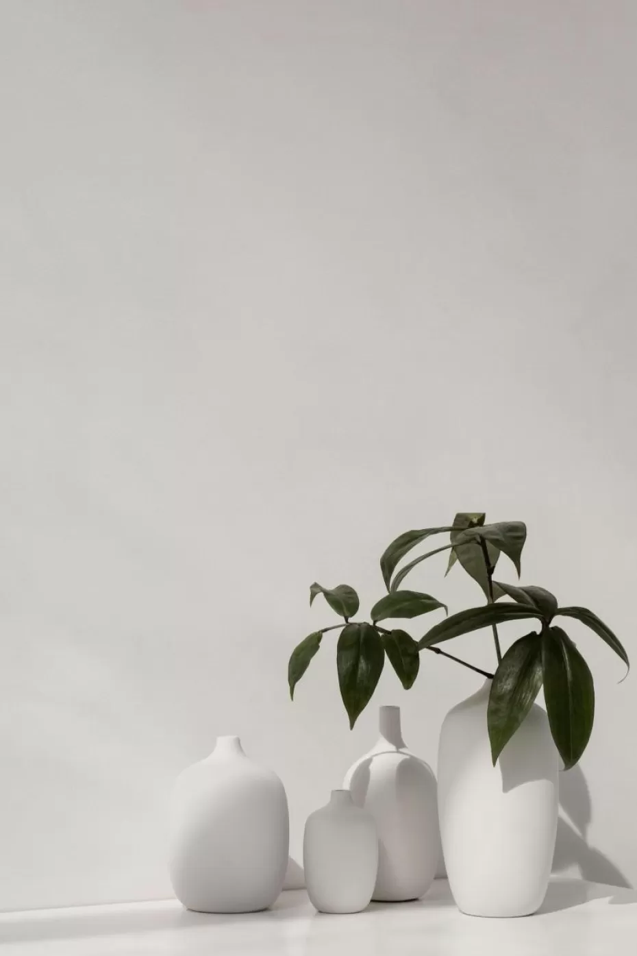 Vasen-Blomus Design-Vase Ceola, H 25 cm