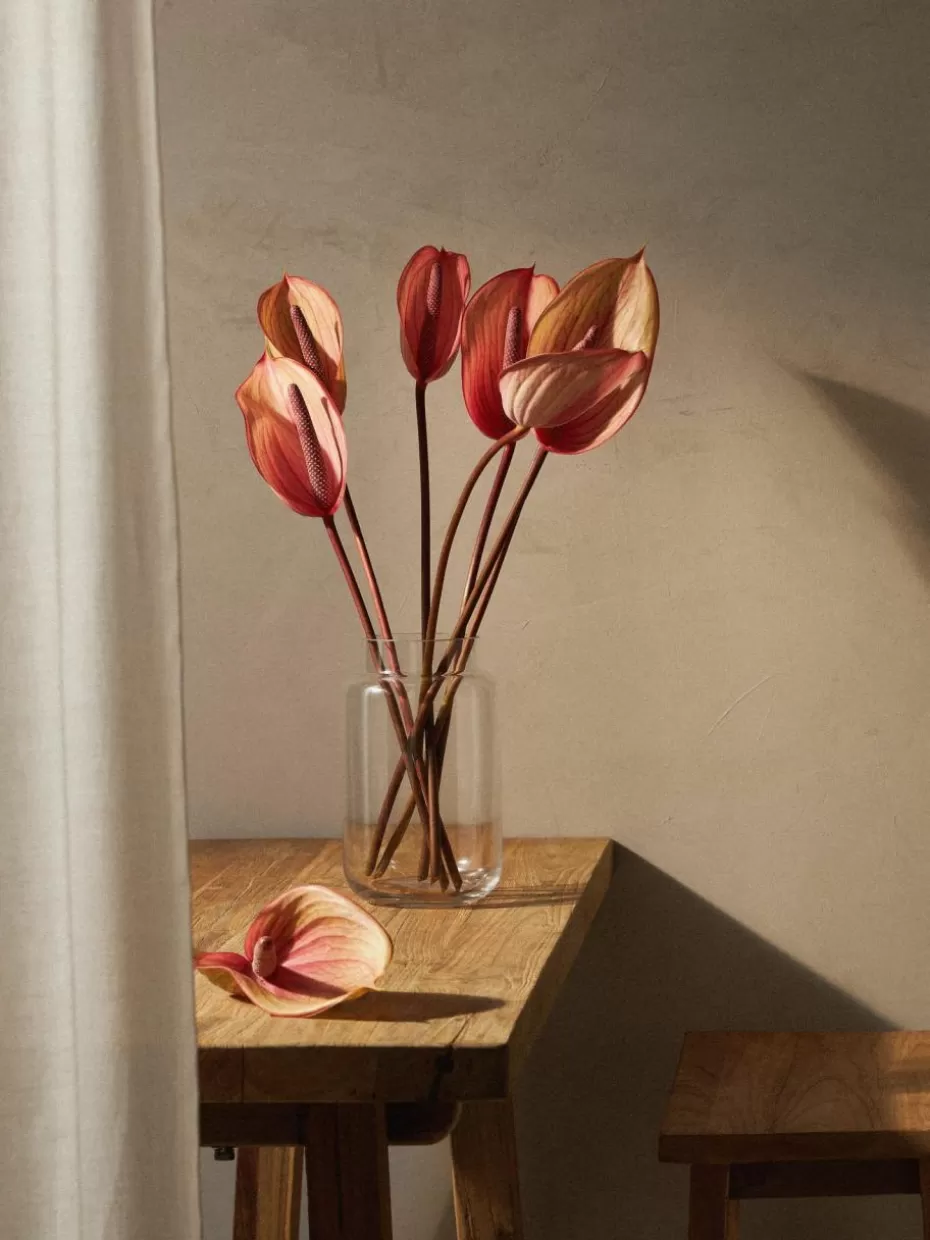 Vasen-Westwing Collection Glas-Vase Lasse, H 22 cm Transparent