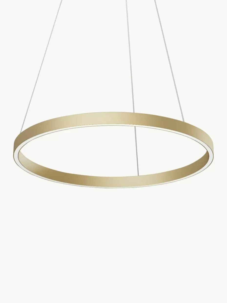 Led-Pendelleuchten | Pendelleuchten-Maytoni Große LED-Pendelleuchte Rim