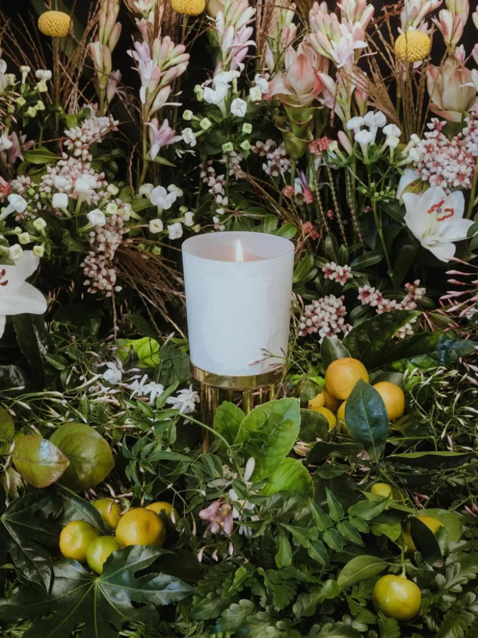 Romantische Details | Duftkerzen-Trudon Handgefertigte Duftkerze Positano () Orangenblüte, Jasmin, Magnolie