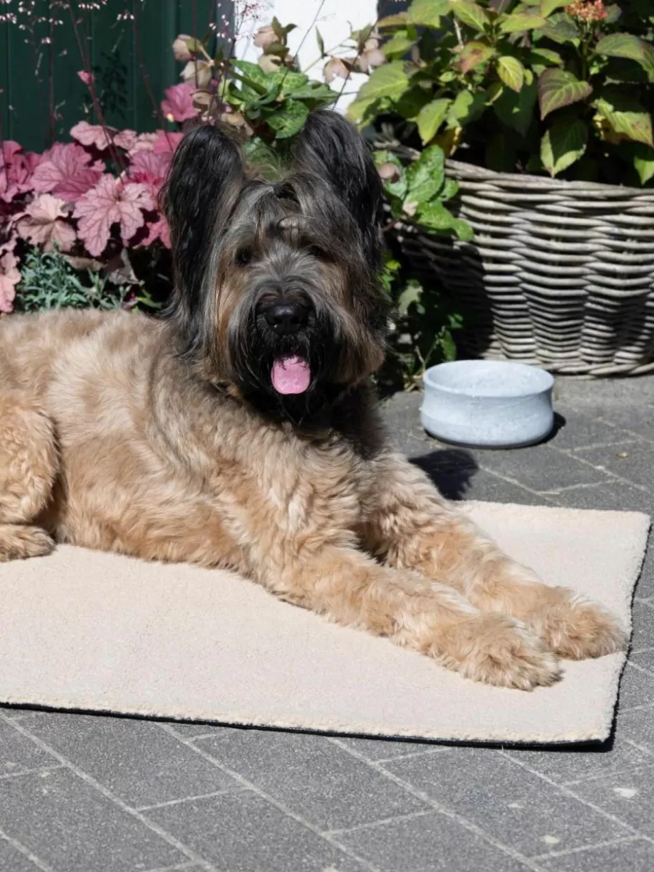 Haustierbedarf-Laboni Haustier-Steppdecke Teddy mit Anti-Rutsch-Unterseite, in verschiedenen Größen Hellbeige