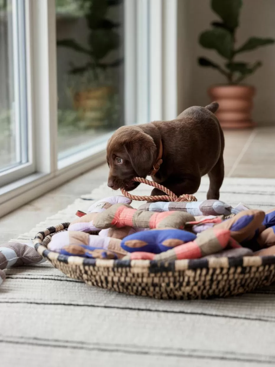 Haustierbedarf-Oyoy Living Design Hundespielzeug Ashi in Knochen-Form, in verschiedenen Größen Lavendel, Beige