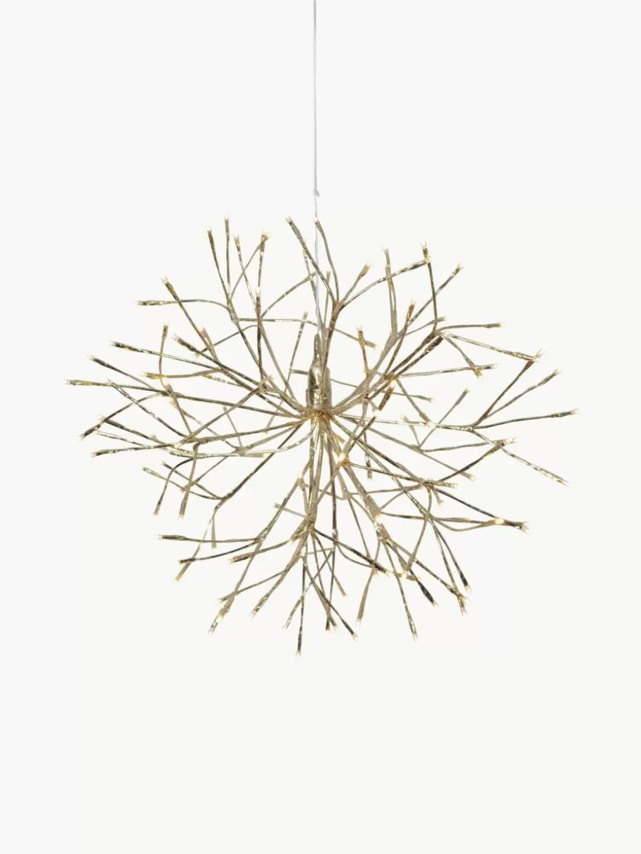 Weihnachtsbeleuchtung | Family Holidays-Star Trading Outdoor LED-Weihnachtsdekoration Winny, Ø 50 cm