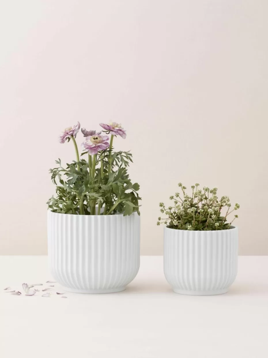 Blumentöpfe-Lyngby Porcelaen Porzellan-Übertopf Lyngby, H 11 cm